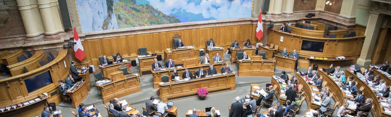 Vernehmlassungsantworten