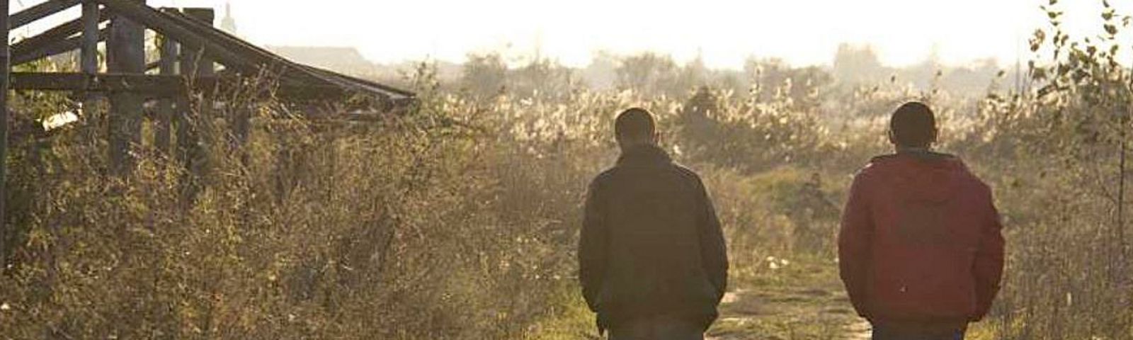 SFH begrĂŒsst Entscheid und fordert unverzĂŒgliches Eintreten auf hĂ€ngige Gesuche