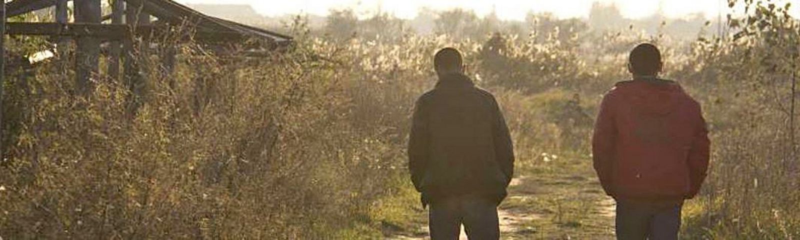 SFH begrüsst Entscheid und fordert unverzügliches Eintreten auf hängige Gesuche